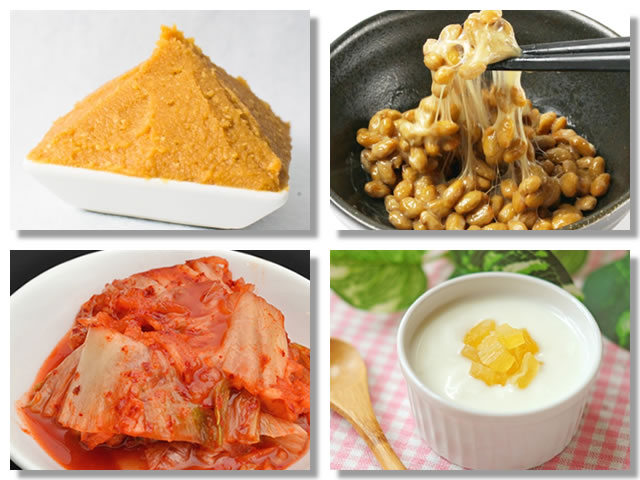味噌、納豆、キムチ、ヨーグルトなどの発酵食品